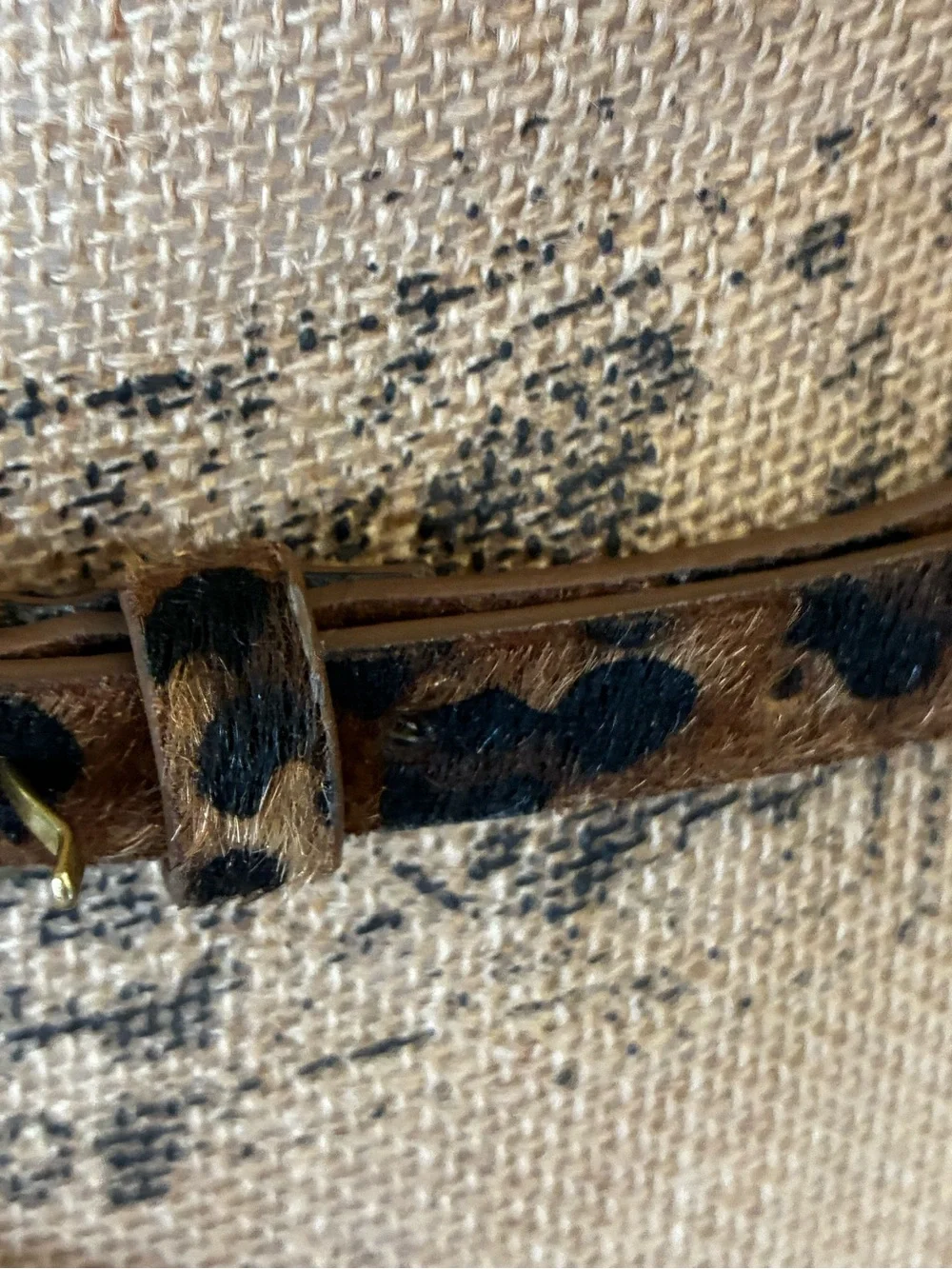 GAP Leopard Print Women's skinny belt Fall animal print calf hair gold buckle S